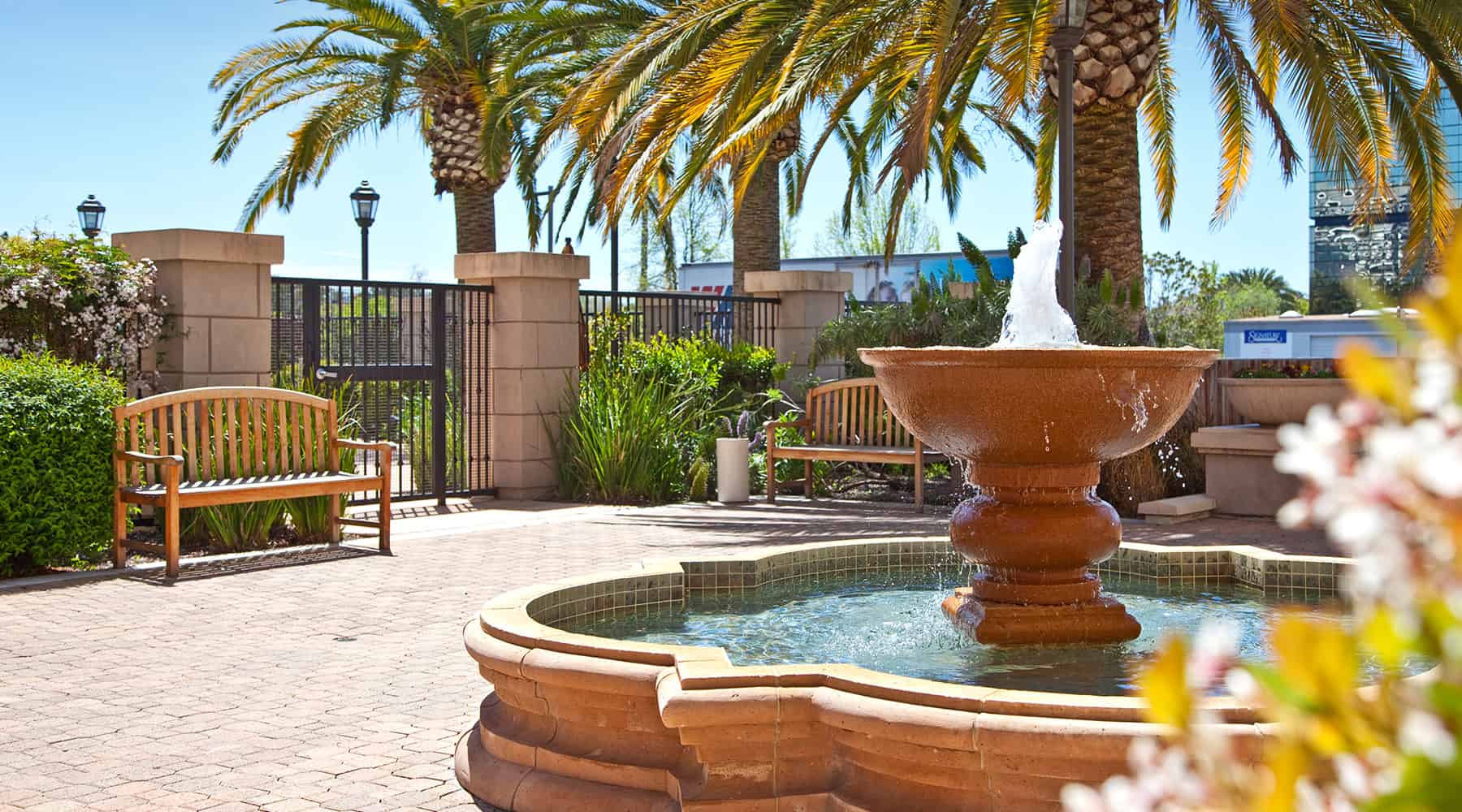 Renaissance Square courtyard with central water fountain, bench seating under palm trees